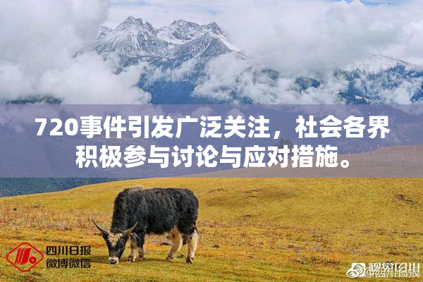 720事件引发广泛关注，社会各界积极参与讨论与应对措施。
