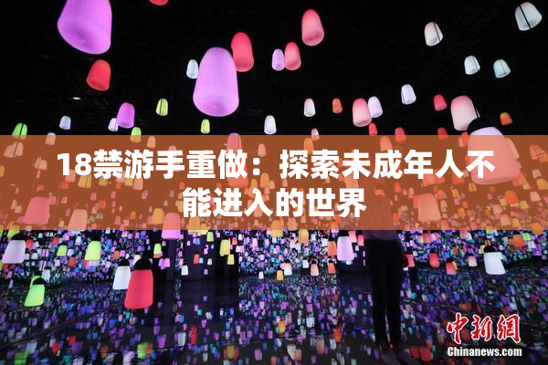 18禁游手重做：探索未成年人不能进入的世界
