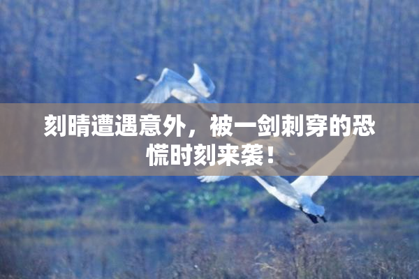 刻晴遭遇意外，被一剑刺穿的恐慌时刻来袭！
