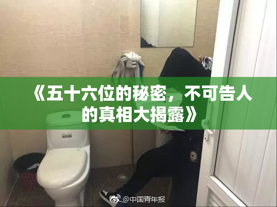 《五十六位的秘密，不可告人的真相大揭露》