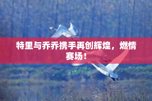 特里与乔乔携手再创辉煌，燃情赛场！