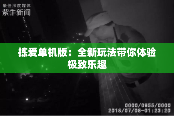 拣爱单机版：全新玩法带你体验极致乐趣