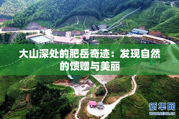 大山深处的肥岳奇迹：发现自然的馈赠与美丽