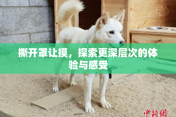 撕开罩让摸，探索更深层次的体验与感受