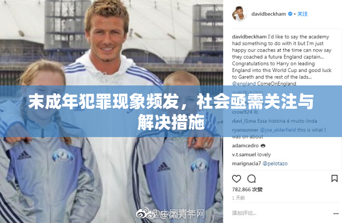 末成年犯罪现象频发，社会亟需关注与解决措施