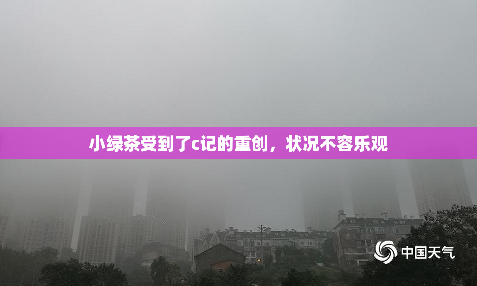 小绿茶受到了c记的重创，状况不容乐观