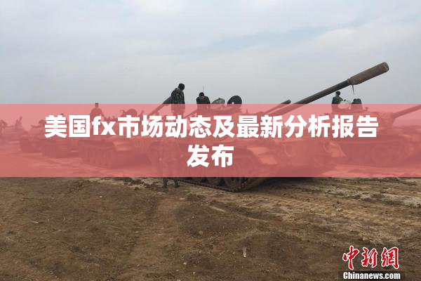 美国fx市场动态及最新分析报告发布