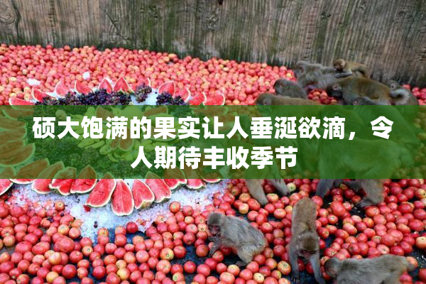 硕大饱满的果实让人垂涎欲滴，令人期待丰收季节