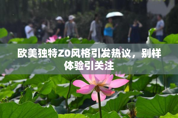 欧美独特Z0风格引发热议，别样体验引关注