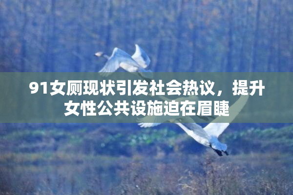 91女厕现状引发社会热议，提升女性公共设施迫在眉睫