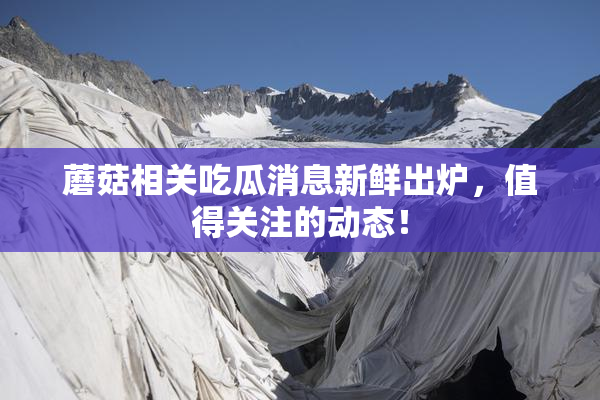 蘑菇相关吃瓜消息新鲜出炉，值得关注的动态！