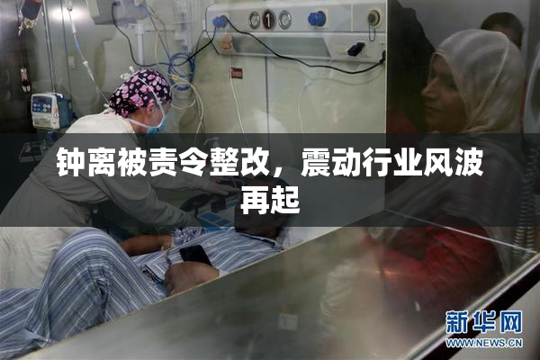 钟离被责令整改，震动行业风波再起