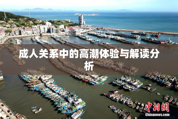 成人关系中的高潮体验与解读分析
