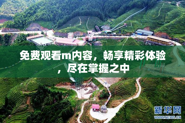 免费观看m内容，畅享精彩体验，尽在掌握之中