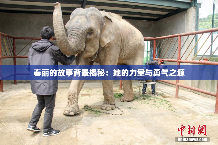 春丽的故事背景揭秘：她的力量与勇气之源
