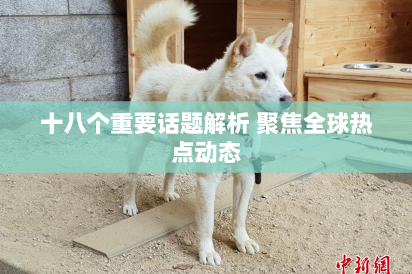 十八个重要话题解析 聚焦全球热点动态