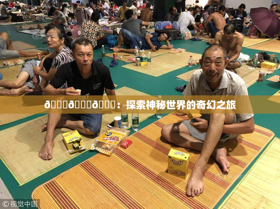 🍆🍑🔞：探索神秘世界的奇幻之旅