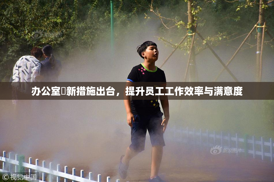 办公室強新措施出台，提升员工工作效率与满意度