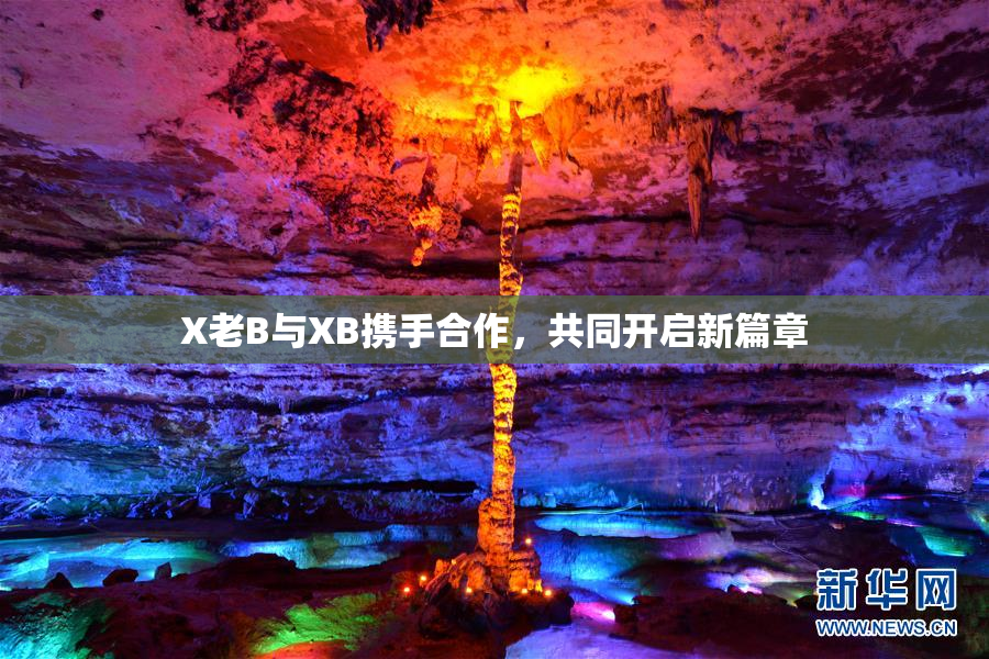 X老B与XB携手合作，共同开启新篇章