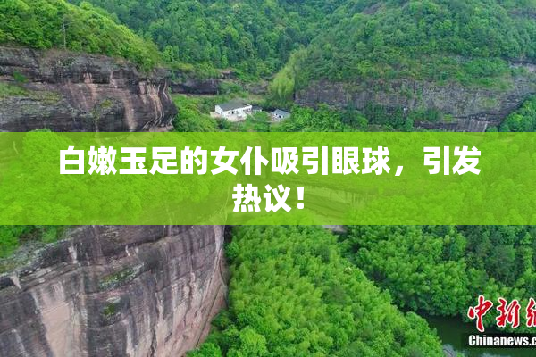 白嫩玉足的女仆吸引眼球，引发热议！