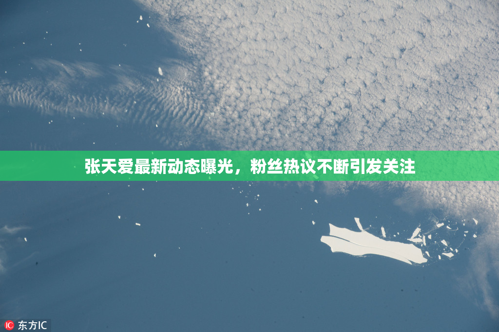张天爱最新动态曝光，粉丝热议不断引发关注