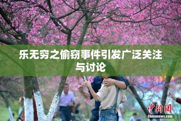 乐无穷之偷窃事件引发广泛关注与讨论