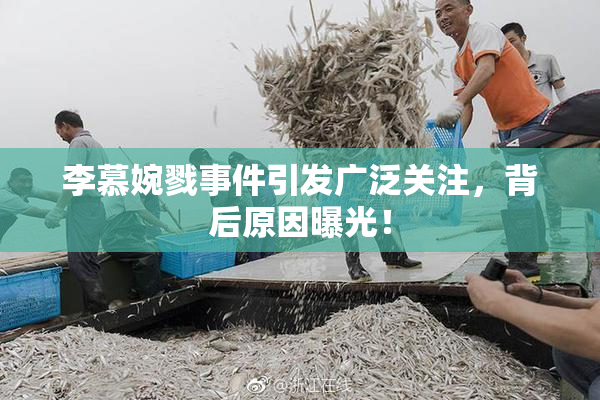 李慕婉戮事件引发广泛关注，背后原因曝光！