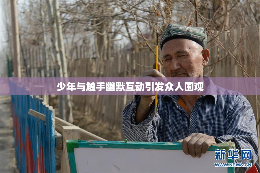 少年与触手幽默互动引发众人围观