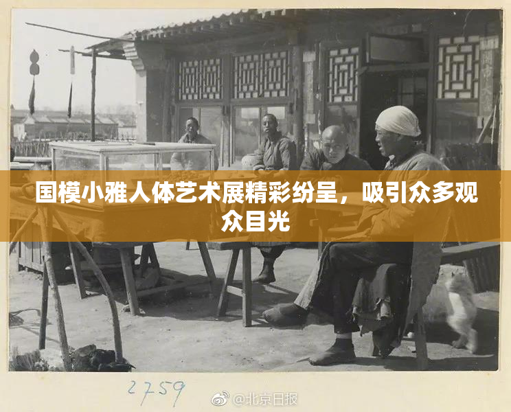 国模小雅人体艺术展精彩纷呈，吸引众多观众目光
