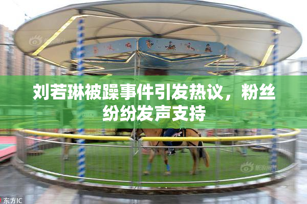 刘若琳被躁事件引发热议，粉丝纷纷发声支持