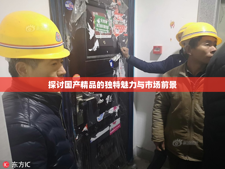 探讨国产精品的独特魅力与市场前景