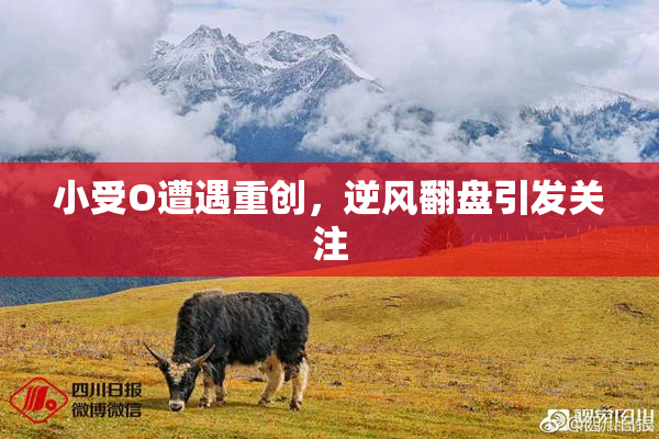 小受O遭遇重创，逆风翻盘引发关注