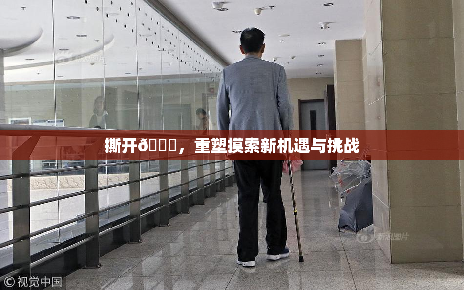 撕开👙，重塑摸索新机遇与挑战