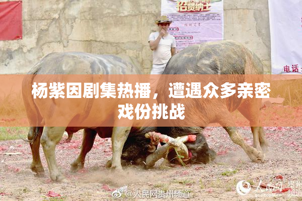 杨紫因剧集热播，遭遇众多亲密戏份挑战