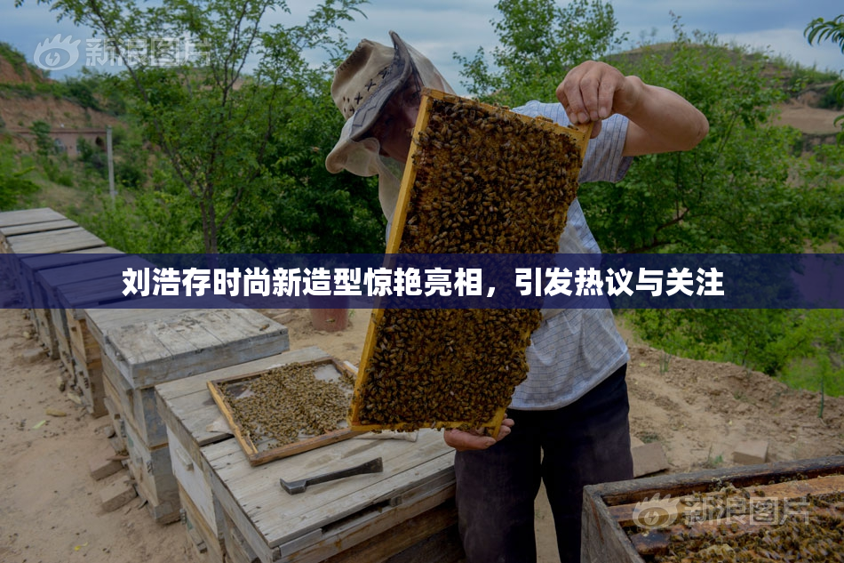 刘浩存时尚新造型惊艳亮相，引发热议与关注