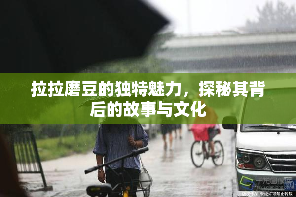 拉拉磨豆的独特魅力，探秘其背后的故事与文化
