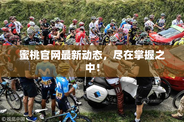 蜜桃官网最新动态，尽在掌握之中！