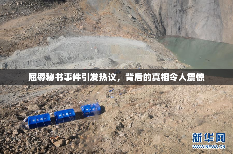 屈辱秘书事件引发热议，背后的真相令人震惊