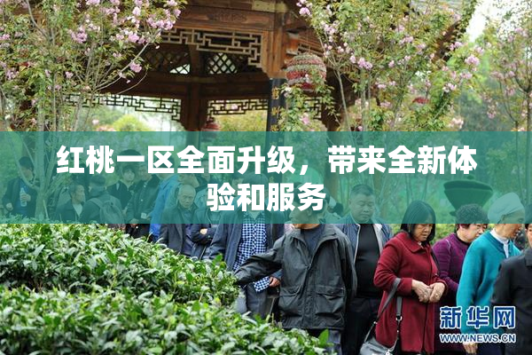 红桃一区全面升级，带来全新体验和服务