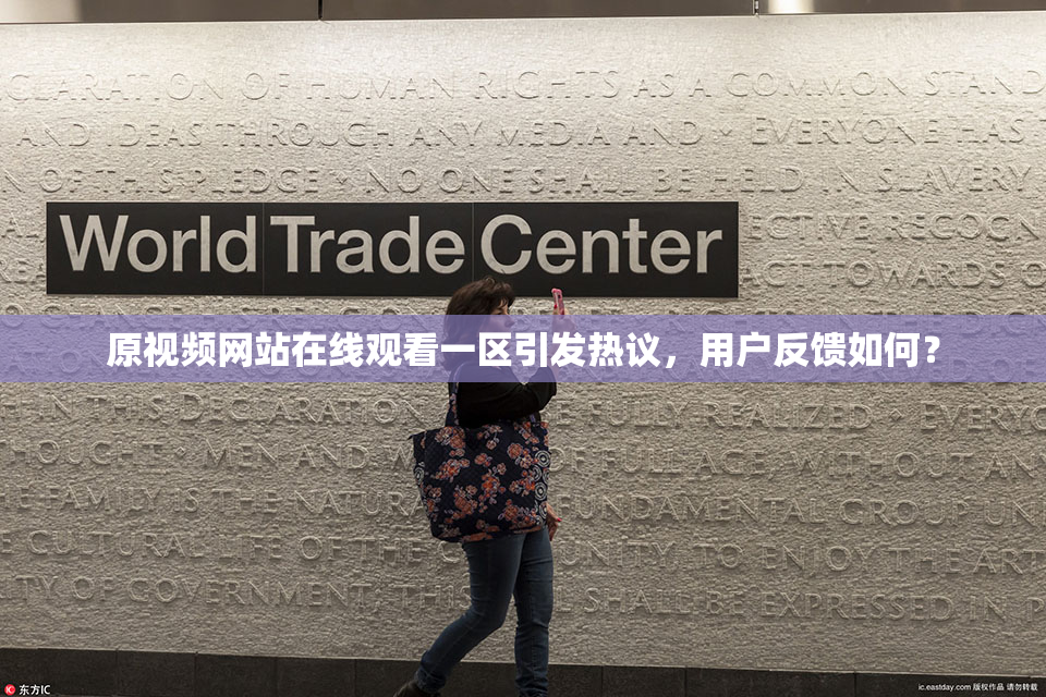 原视频网站在线观看一区引发热议，用户反馈如何？