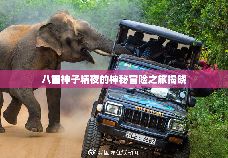 八重神子精夜的神秘冒险之旅揭晓