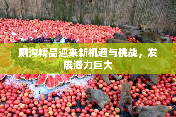 厕沟精品迎来新机遇与挑战，发展潜力巨大
