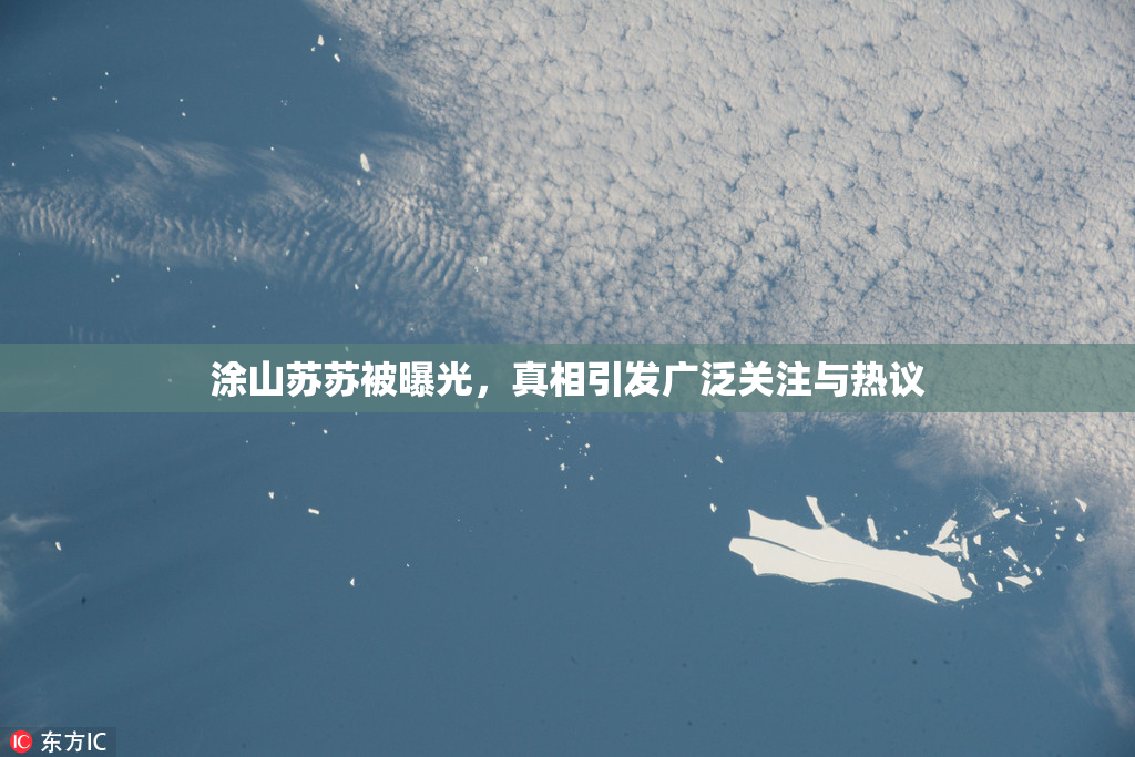 涂山苏苏被曝光，真相引发广泛关注与热议