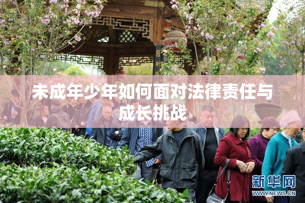 未成年少年如何面对法律责任与成长挑战