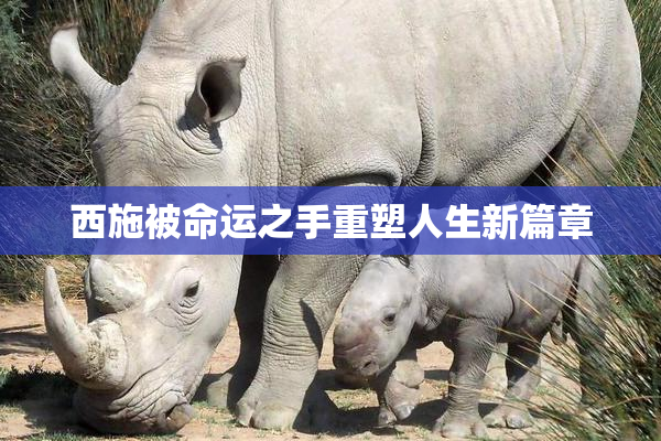 西施被命运之手重塑人生新篇章