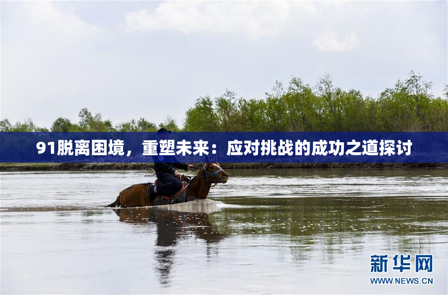 91脱离困境，重塑未来：应对挑战的成功之道探讨