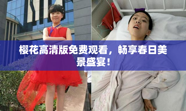 樱花高清版免费观看，畅享春日美景盛宴！
