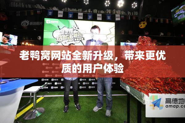 老鸭窝网站全新升级，带来更优质的用户体验