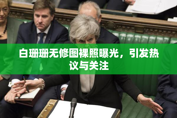白珊珊无修图裸照曝光，引发热议与关注
