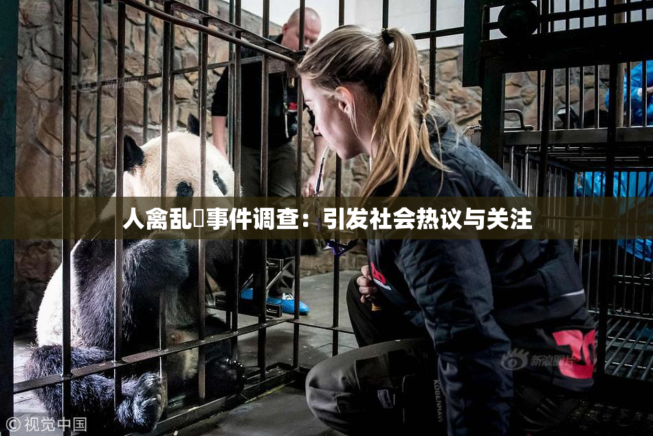 人禽乱婬事件调查：引发社会热议与关注